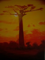/album/galerie-de-photos-paysage/le-baobab-jpg/